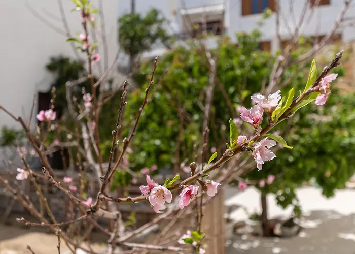 Apartman Amaranto Naxos *