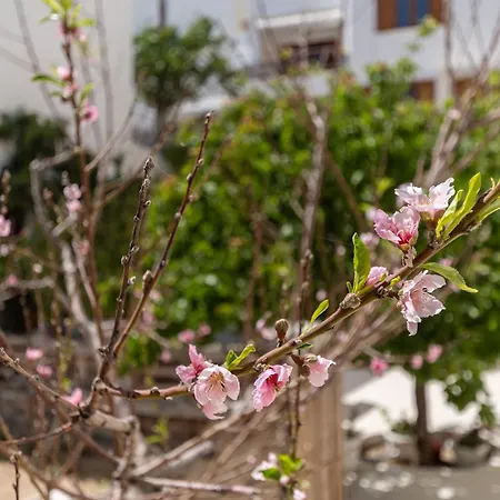 Apartment Amaranto Naxos *